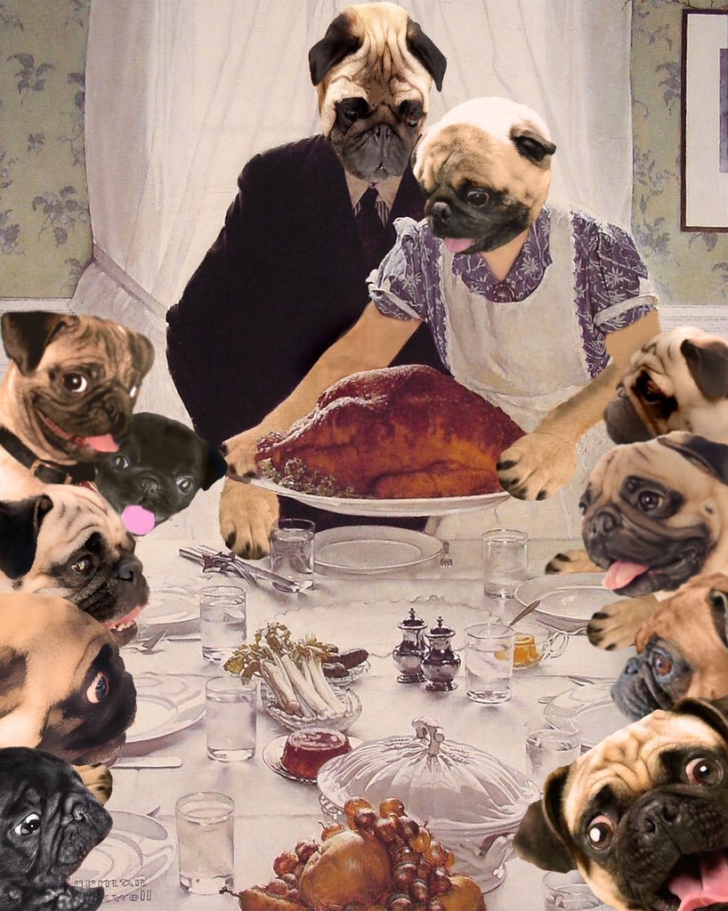 DP_Pug's tweet photo. #thanksgiving #puglove https://t.co/ruBacnl6Qu