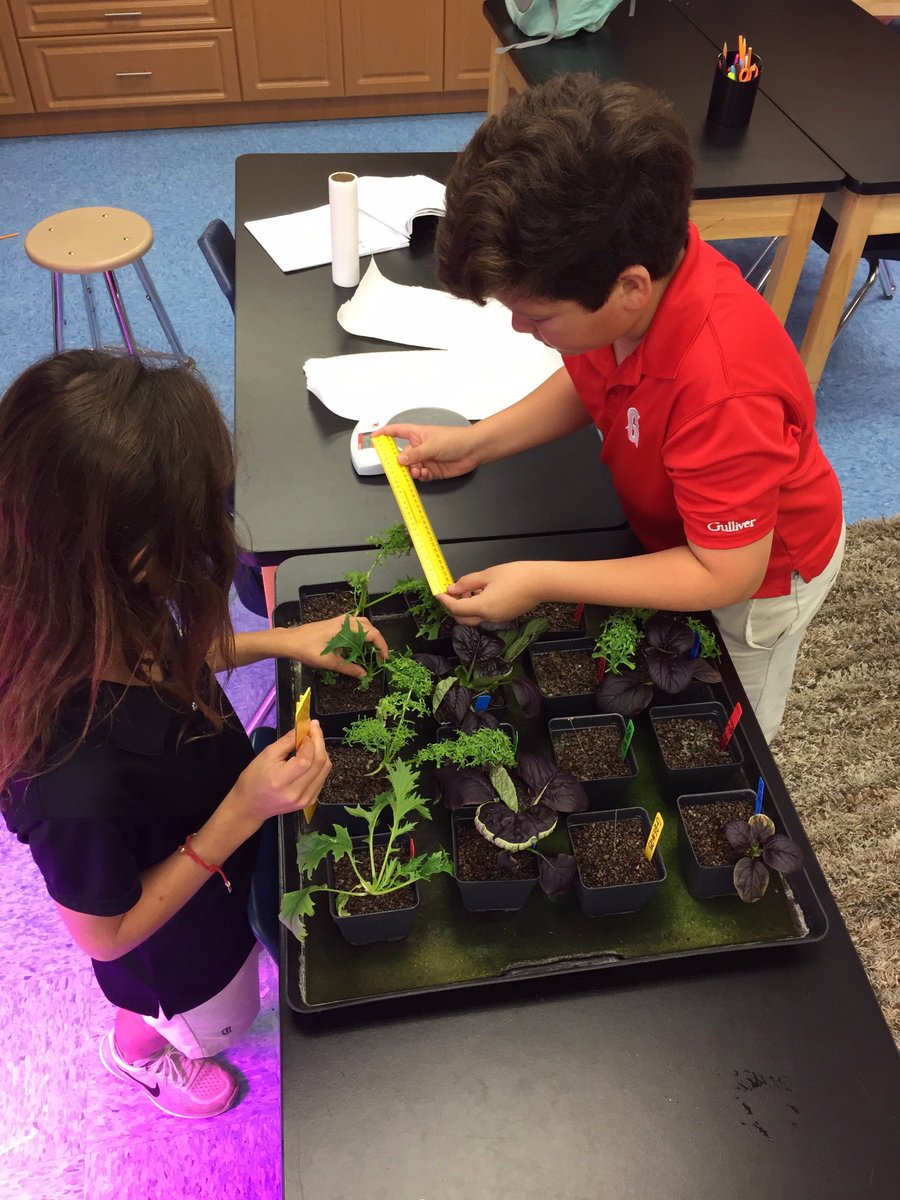 thadfoote's tweet photo. How to quantify space plants for a quality earth meal #gslearning @GrowBeyondEarth https://t.co/tc62P4y7cY