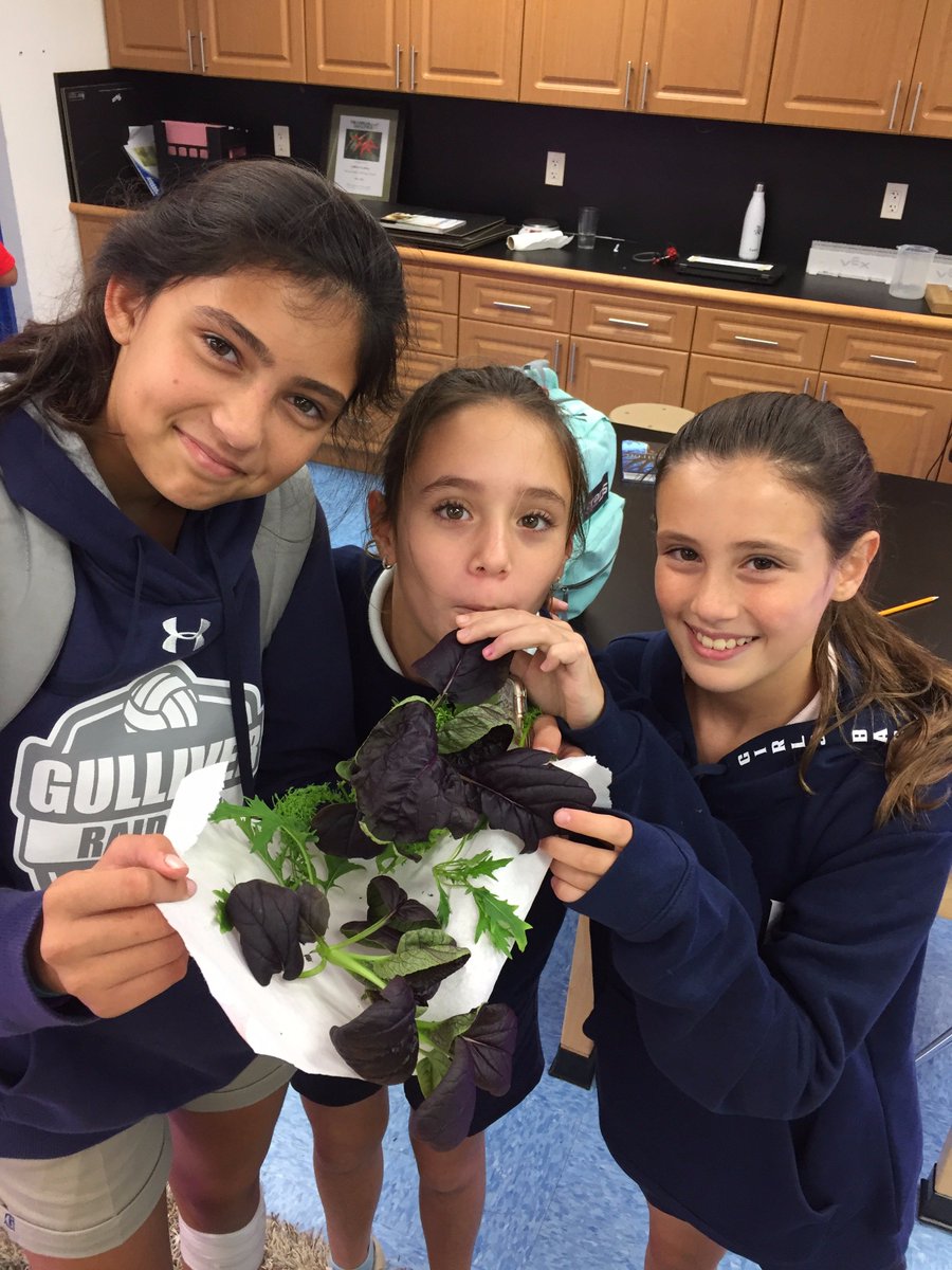 How to quantify space plants for a quality earth meal #gslearning <a href="/GrowBeyondEarth/">Growing Beyond EarthⓇ</a>