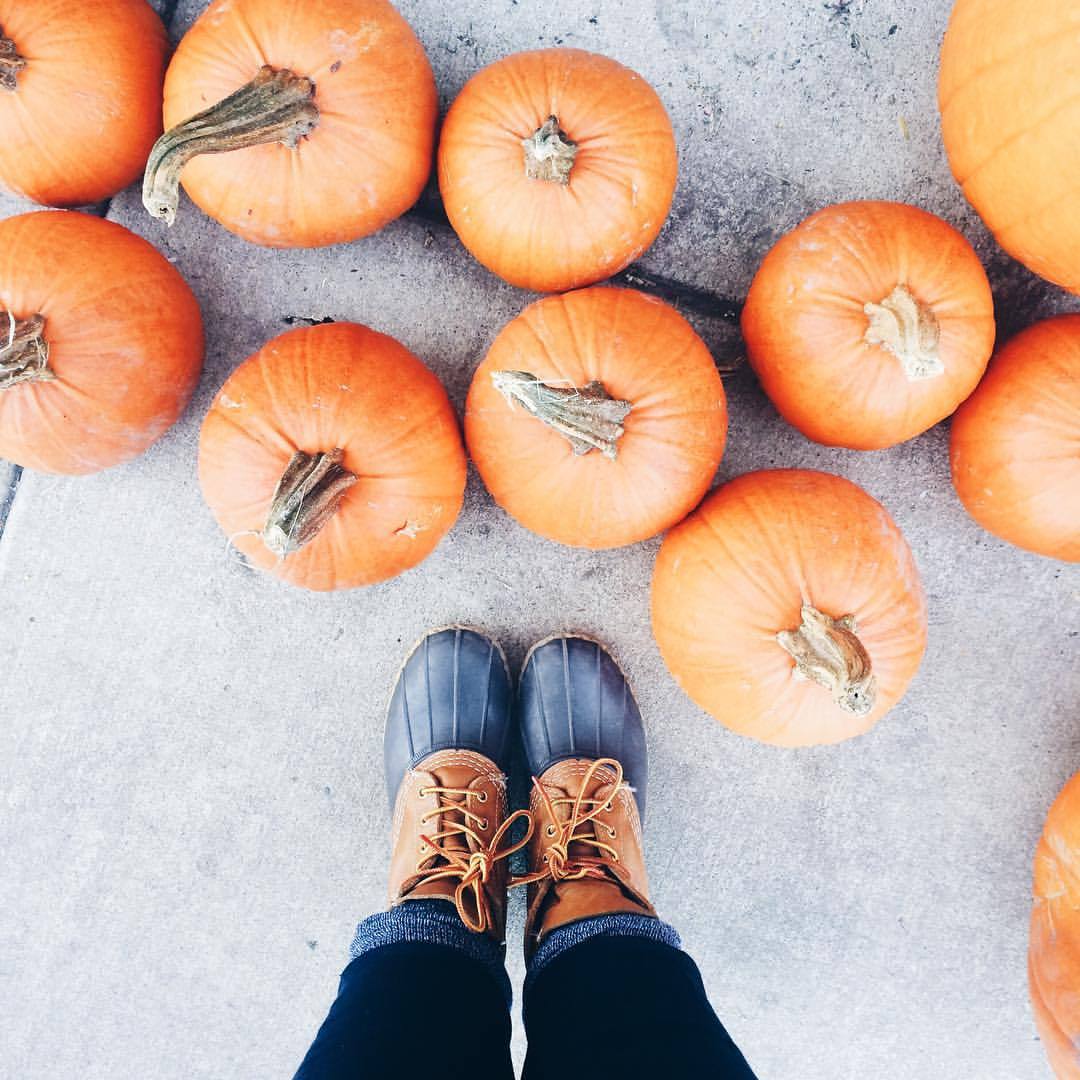 veryablework's tweet photo. With the Holidays right around the corner you can earn some extra money with Veryable and treat yourself and your family! #dallasjobs #dfwjobs #ondemandlabor #mfgjobs #workopportunities #findwork https://t.co/3gk52jl58j