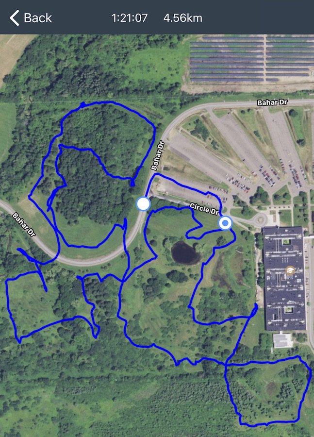 #eBird tracks are available on *free* #eBirdMobile for both iOS and Android now! Auto-calculate distance and duration of your checklists—all you have to do is enjoy the birds! What do your tracks look like? ebird.org/content/ebird/…