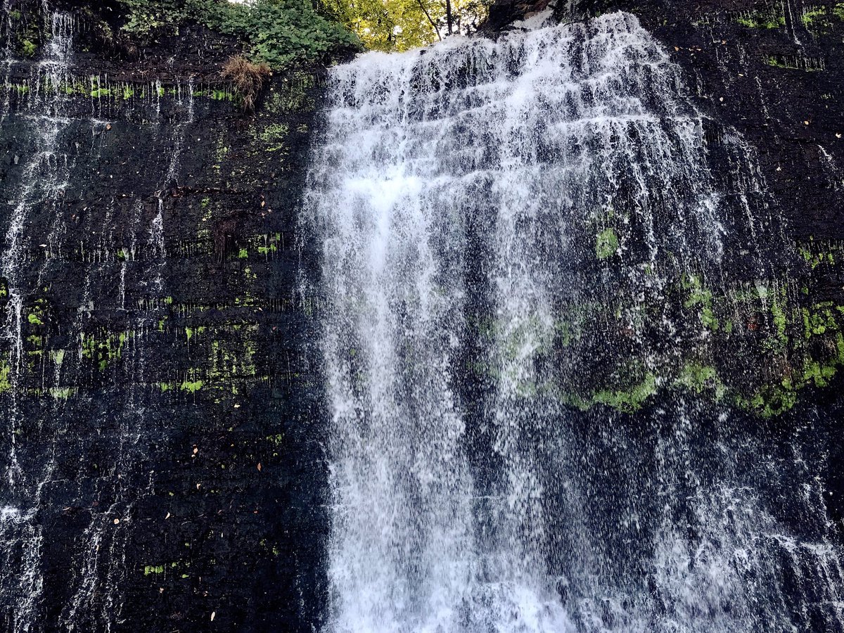 VickyZhang1014's tweet photo. Wilson Dam is on the Tennessee River connecting Muscle Shoals and Florence, Alabama.The waterfall is on a high rock wall adjacent to the dam. Small feeder creeks run through the natural area and create thiswaterfall on an adjacent cliff wall that is a Karst Landscape#317Media2017 https://t.co/OWwW1tDtQx