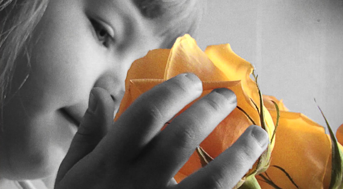 Inhalio, Inc. tweet media