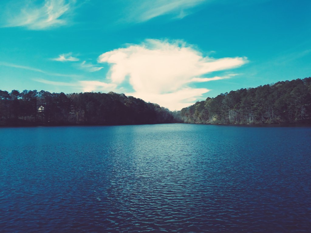 Sugar_Sev tweet media