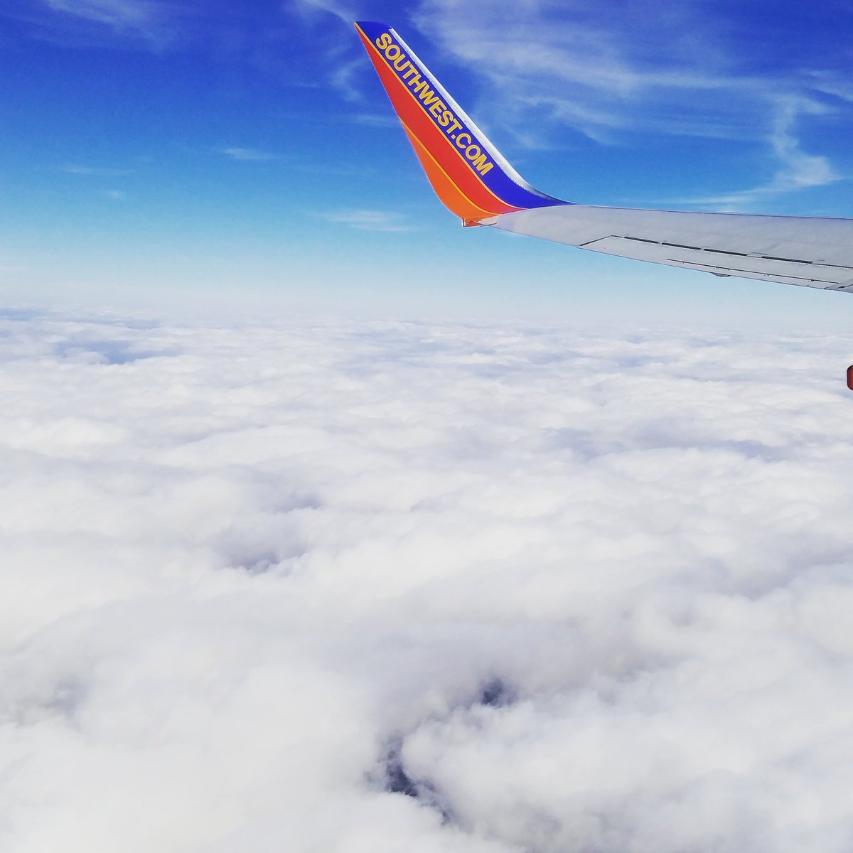 MeghanTTU08's tweet photo. Thank you @SouthwestAir for a short &amp; sweet flight! My legs will thank me for a 45 min trip after 26point2 miles Sunday! https://t.co/W6fUob4ucP