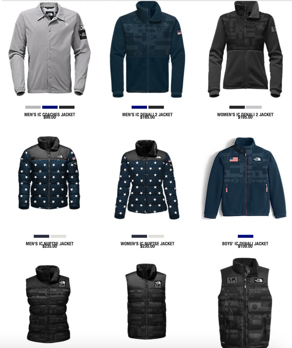 the north face international collection denali 2 jacket
