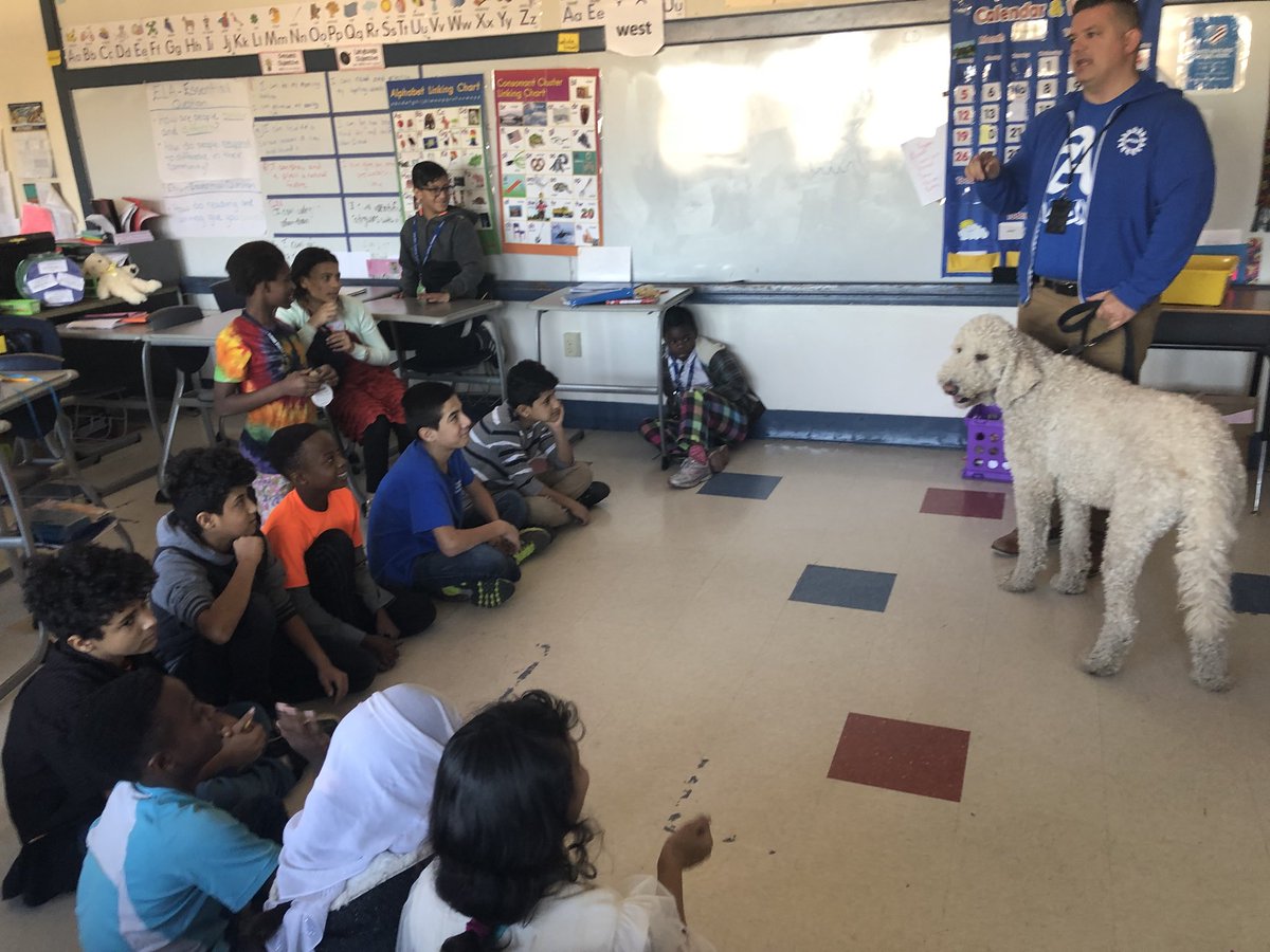 Liz_sara87's tweet photo. Thanks @AlbanyENL for bringing Hank to AIC 7th grade. First time petting a dog for so many! Can’t wait to read with Hank! https://t.co/rv2q3nqSOW