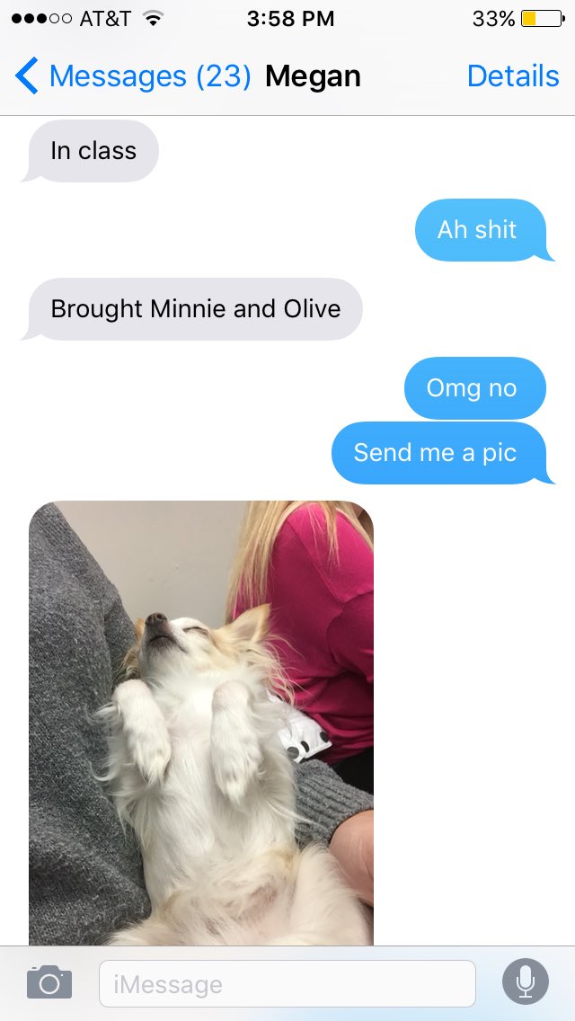 lecavalier9's tweet photo. My sister brought her dogs to class today and I can't breathe 😂😭 https://t.co/J6nTWjEO5U