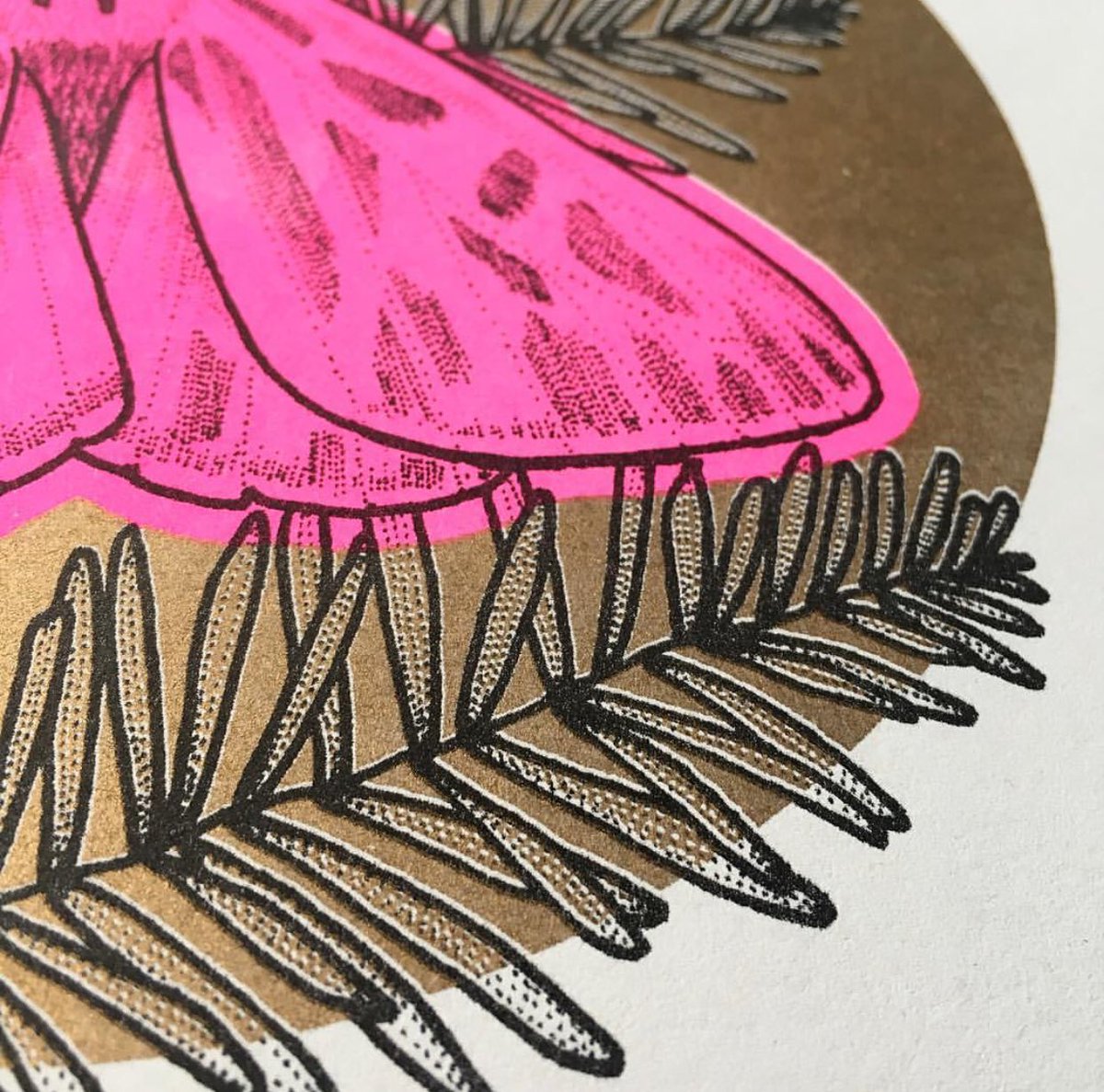 PopUpPrintShop's tweet image. Our 25th #winterpopupprintshop seller is the wonderful @heyaimeemac. Aimee’s elegant illustrations are all derived from her love of nature, and how we should treasure it. Pick up one of her prints, stickers, and textile work TOMORROW at @leafonportlandst