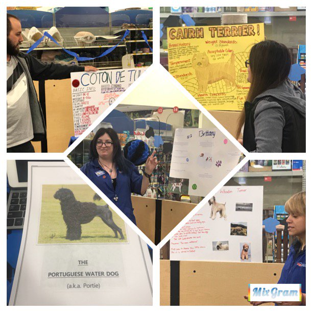 Breed Presentations! Great job! <a href="/ashleybeltz84/">Ashley</a> <a href="/CarrieVillani/">Carrie Villani</a> @PetSmart_DaveK