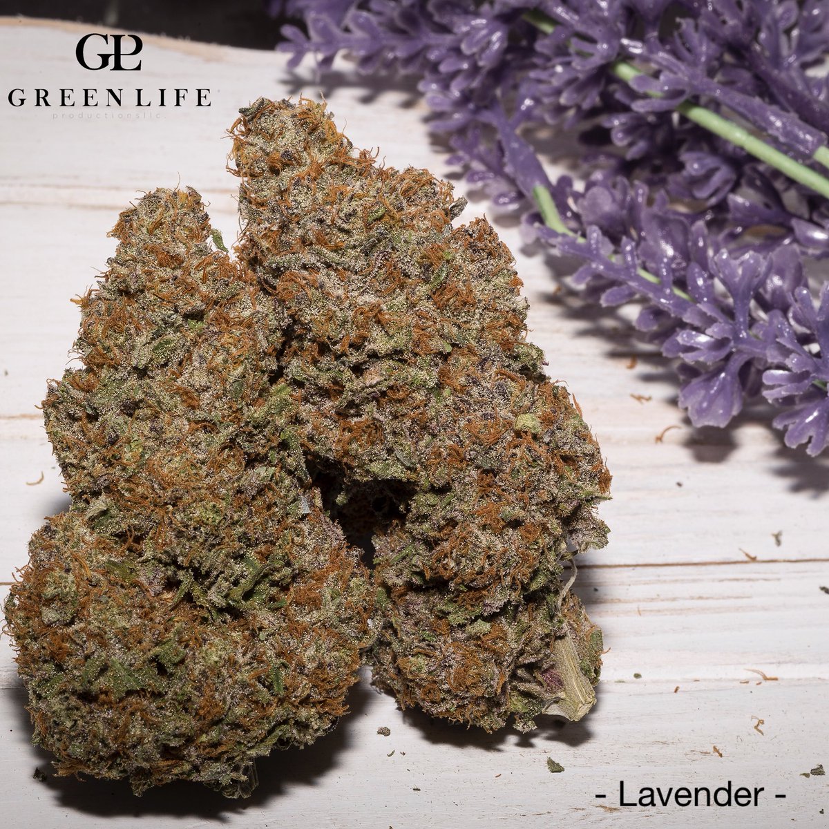 GLPNV's tweet photo. Fresh Drop 🚨 #Lavender available only @EssenceVegas @InyoDispensary  @SaharaWellness @ApothecariumLV ✌️ #GreenLifeProductions  #TrulyPure #NoTill #LasVegas  #GLP #askforglp  #cannabiscommunity #sustainablecannabis #SettingStandards  #DEMcertified  #mmjbizcon mjbizcon2017 https://t.co/cR1AanHsOf