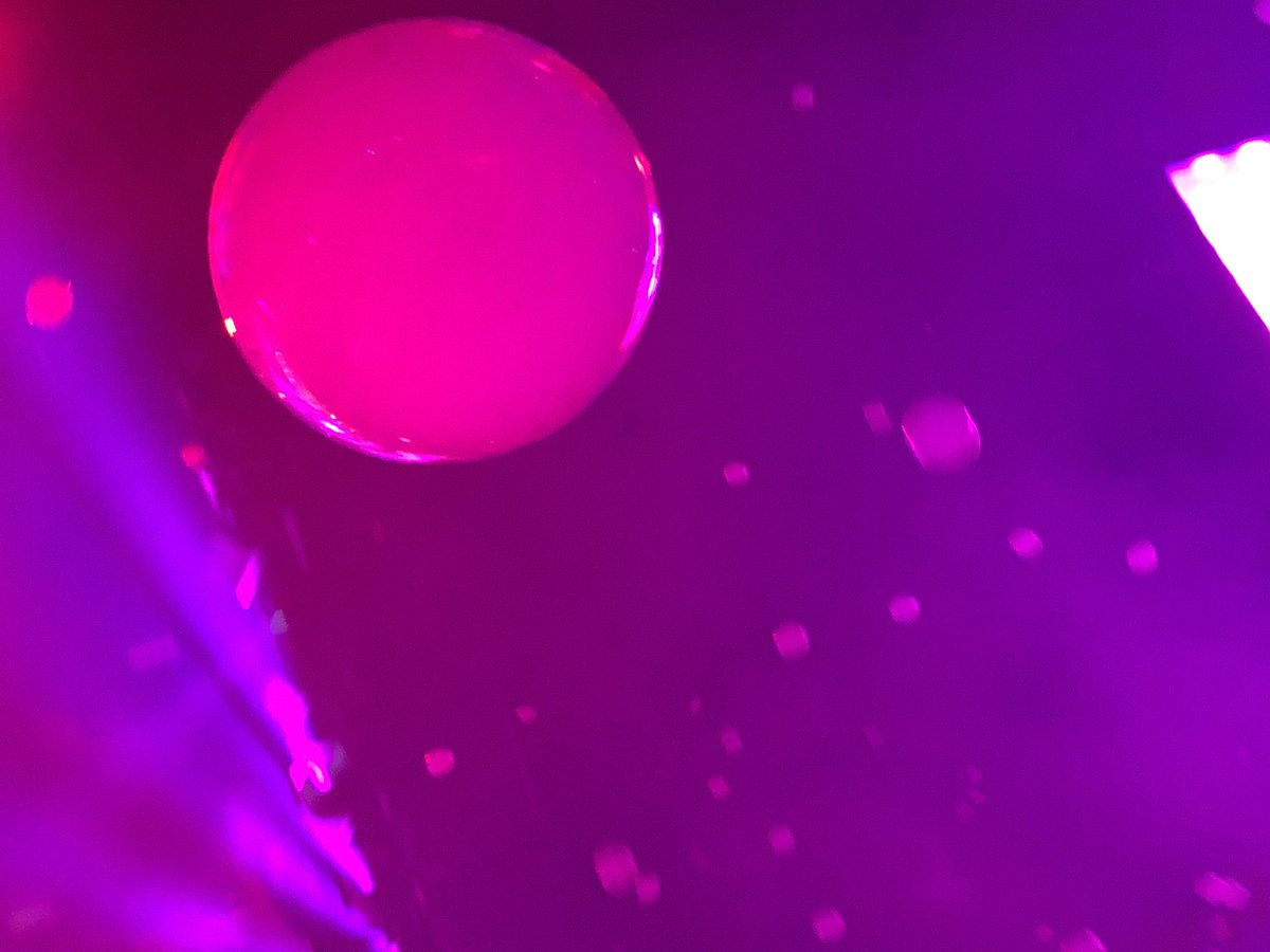 jrnsince1989's tweet photo. @oscarandthewolf wat een geweldige show! Van begin tot eind genoten van het spektakel. @AFASLive #concert #vrienden #spektakel https://t.co/FCHHWnT7OP