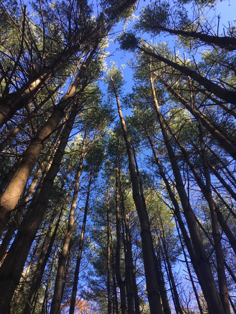 AndoverGIS's tweet photo. What a beautiful spot right in the heart of Andover! https://t.co/sahJpgPwTR