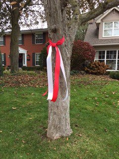 SaveLBPHS's tweet photo. To show your support to Pearson HS students, families, and community members. please tie/hang ONE RED &amp; ONE WHITE RIBBON out front of your property. "PEARSON STANDS STRONG AND PROUD" Upload a pic social media w hashtags: 
#PearsonStrongandProud #SaveLBPHS #HDSBRevisitYourDecision https://t.co/83K8oX69wo