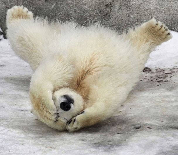 ChillyOpen's tweet image. Don’t miss a thing! Be sure to follow us on Twitter, Facebook AND Instagram for the latest in #giveaways and updates on beneficiaries!