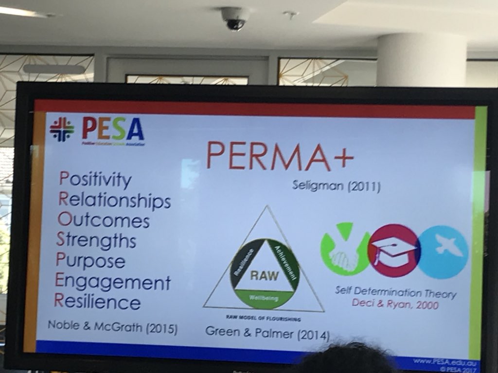 posifygroup's tweet photo. Thanks @toraisejoy for using your strengths, humour &amp; creativity, to share your knowledge about pos ed #PESAVic17 https://t.co/SUdZarR81k