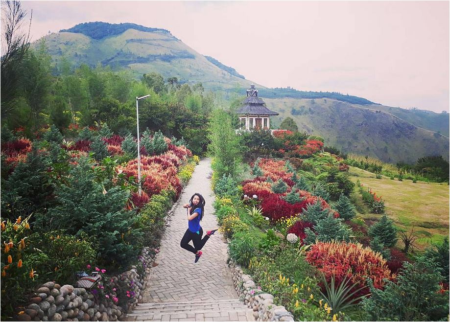 pariwisatasumut tweet picture