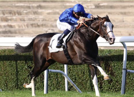 AgaloparTurf's tweet photo. Montjeu y su tribu, el sobreviviente Blandford, ‘Malascaras de calidad’. Manuel Luque desde Dormello https://t.co/tdCJNEWkJM https://t.co/YlnyRu06eB