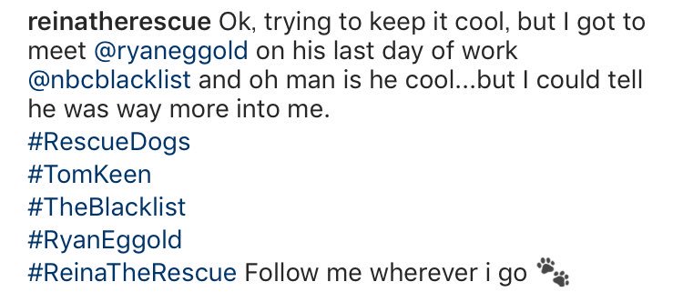 アミール アリソン