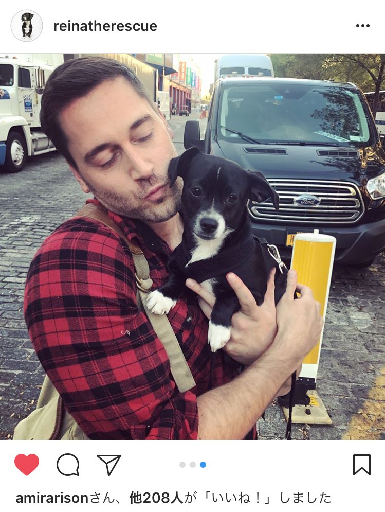 アミール アリソン