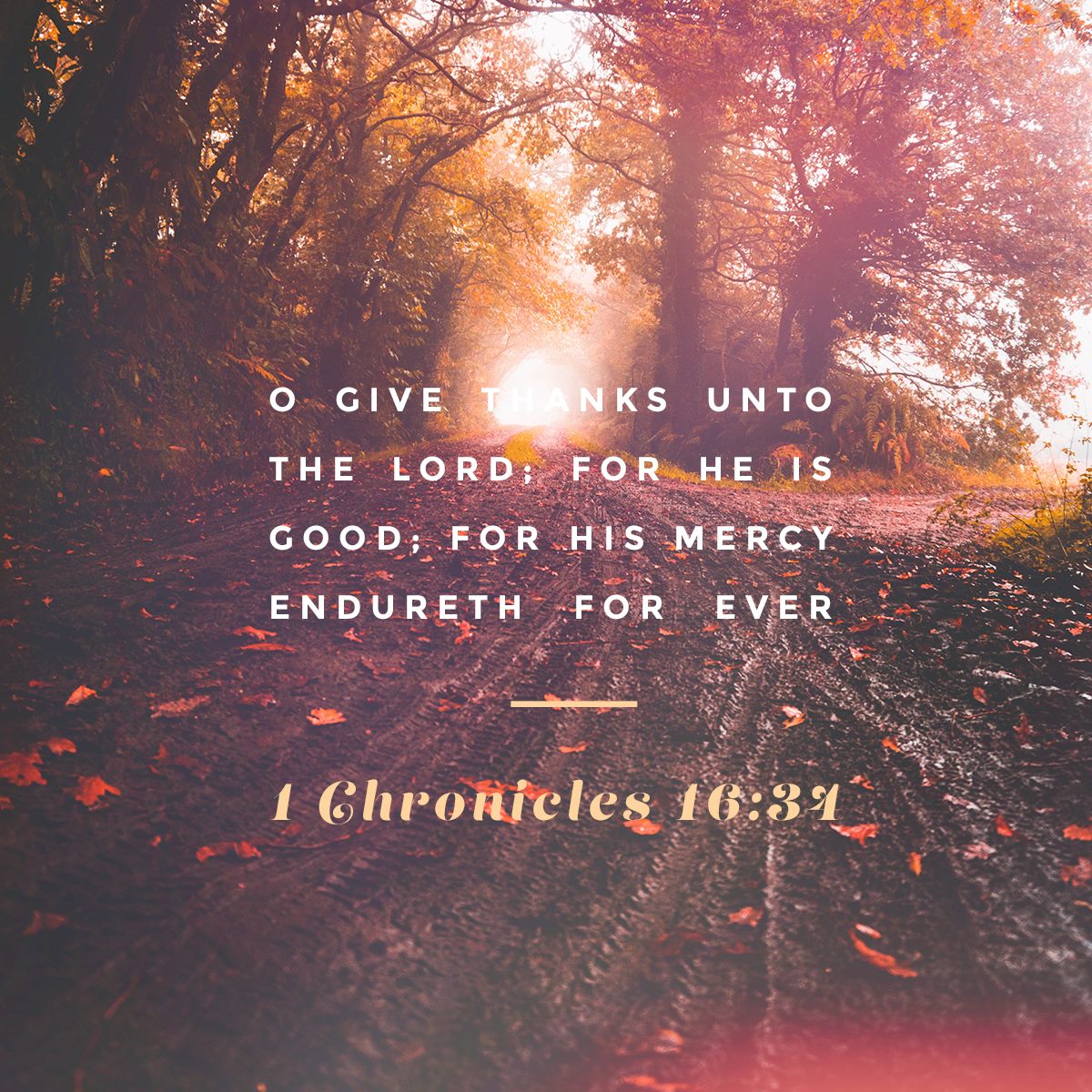 FBCCOLUMBUS's tweet photo. O give thanks unto the Lord; for he is good; for his mercy endureth for ever. ππ»ππΏππΎ
---1 Chronicles 16:34
ππππππππππ
#thanks #thanksgiving #FBC #FBCColumbus #FBCThanks #FellowshipBaptistChurch #FellowshipBaptist #FBCMedia #FBCCreative #wearethankfulforyou https://t.co/HrLSw74m5b