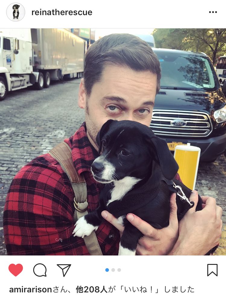 こぐま アミール アリソン のワンちゃんのレイナのインスタより Ryaneggold Theblacklist Tomkeen Amirarison ブラックリスト ライアンエッゴールド ライアン エッゴールド トム キーン T Co W0fxvpavdz T Co Htjm2geokh
