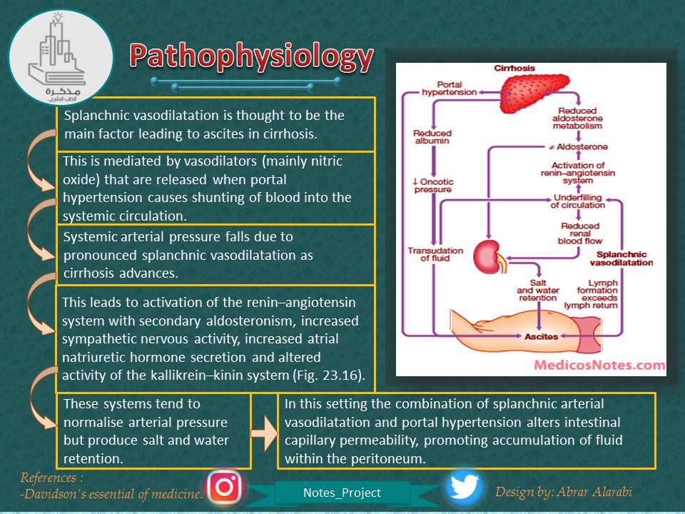 Notes_project's tweet photo. #Radiology
#Medicine #Dentistry #Health #Nursing #Notes_project #مذكرة https://t.co/SlmRTurCve
