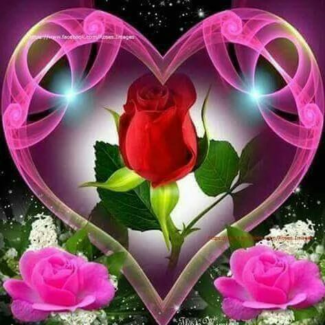 RNT32Z1RZGS1yGv's tweet photo. @ww01100 @tEfrA3ujlmnma52  https://t.co/qLQusEl3cE