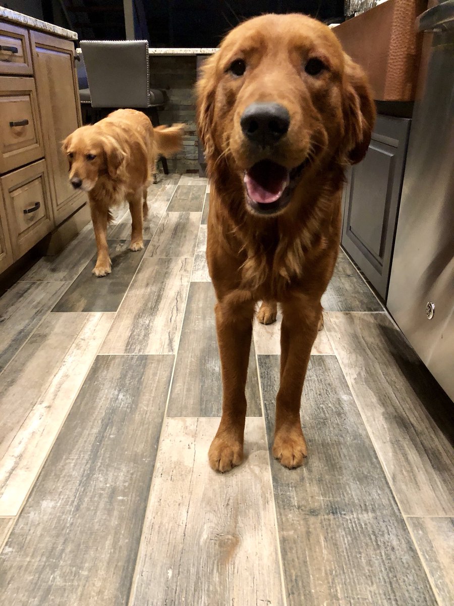 cj_wentz's tweet photo. One year ago today, Mama Henley gave birth to this crazy boy, Jersey!!! Big boy is officially one year old! Love these two!! https://t.co/n0698ynLkX