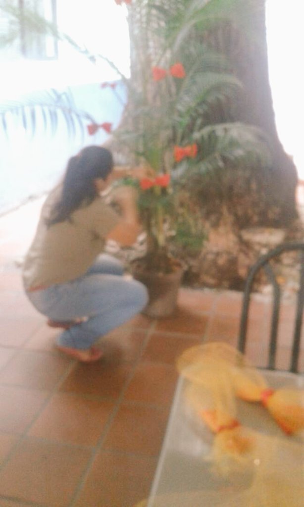capellaniauc's tweet photo. Nuestra Capellania presente hoy en el Rectorado en vestir esos espacios con la navidad  @UCarabobo @TiempoUC @NotiUC @joeldejesusn @Porxtojuan @Greivinfg @biuscmy https://t.co/CjRQRHqz45
