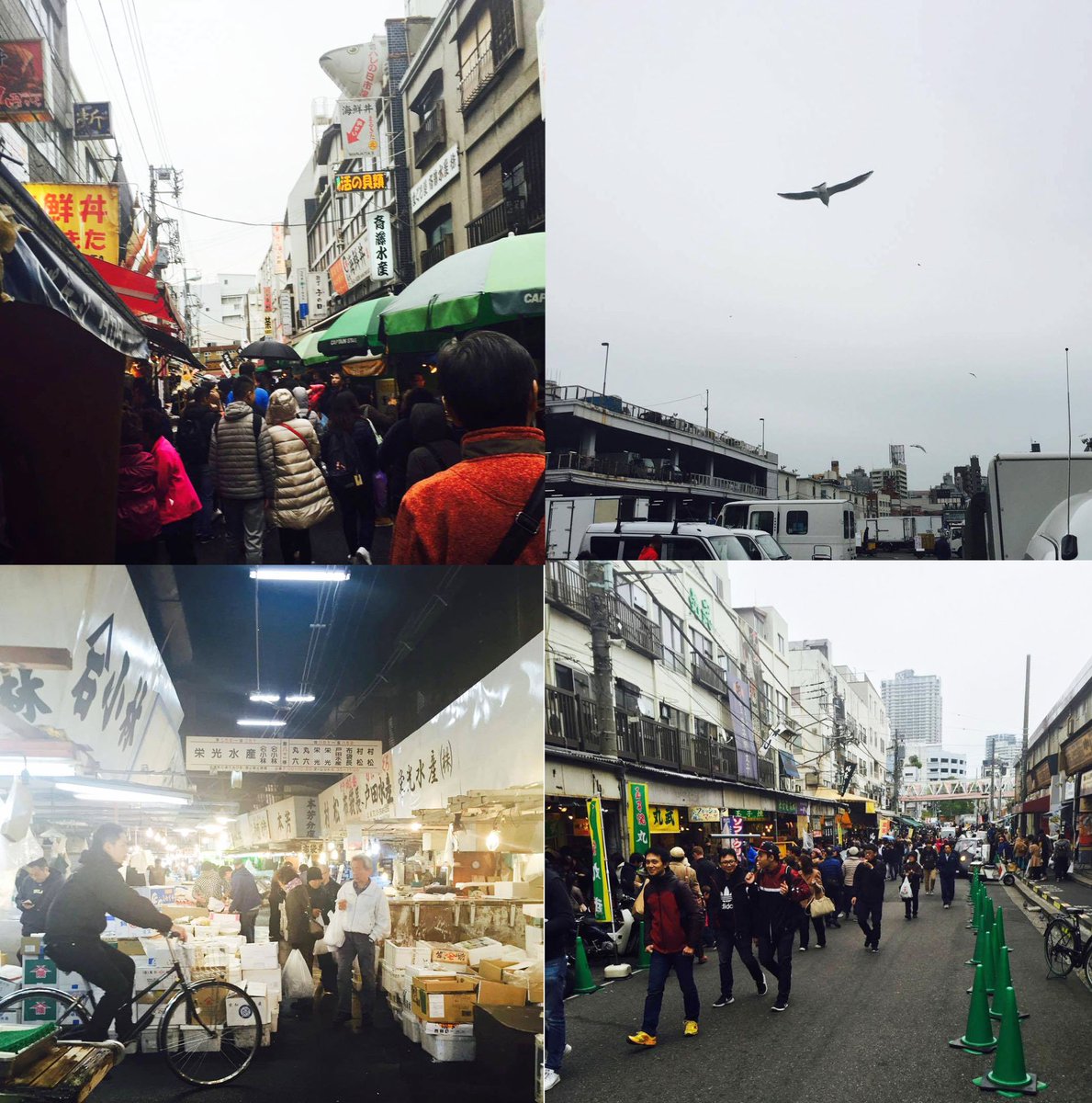 千歳 烏山 天気