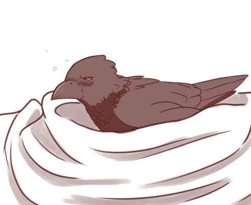 Guess what...
Yep. 
Hes drunk again..
"Who?"