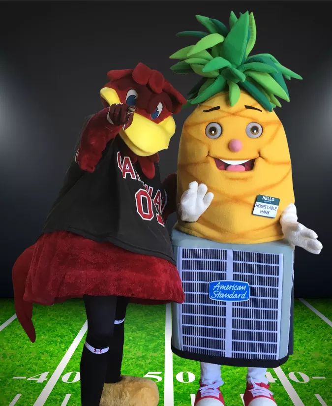 hospitalitysc's tweet photo. #FootballFridayPhoto!! @GamecocksOnline @GamecockFB @Cocky2001 #HospitableHank #Cocky #gamecocks https://t.co/LbPO7vxBMm