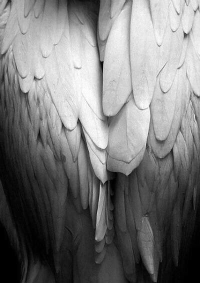 StanColemanRE's tweet photo. πΌπΌππ β¨π« Letβs Be Good To Each Other | Get wise @WifeyUniversity #kindness #respect #affection #forgiveness #patience #communication #aligned #love #teamwork
#morallyabiding #mentallytough #Godfearing #vicefree #totalhonesty #ethicsabovereproach #purelove #divorceproof https://t.co/TgiNDQmGEK