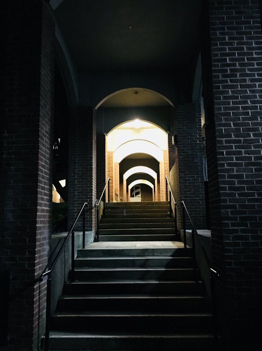 tundehundeyin's tweet photo. Arches #sussexuni #artsb #arch #architecture #silhouette #lowlight #streetphotography #street #landscape #cityscape #brighton #brightonandhove #brighton_ig #igersbrighton #iphone #tundehundeyin https://t.co/pIK1ENfUYS