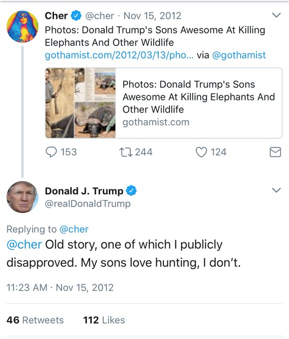 View image on Twitter