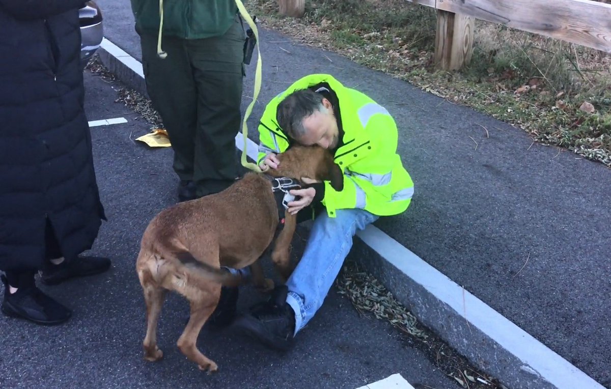 susantran's tweet photo. The moment Chuck sees his service dog Sam, who's been missing for 8 days, it was the best!!! So much love!!! #Woburn #SamIsHome https://t.co/83FS4ZsCkh