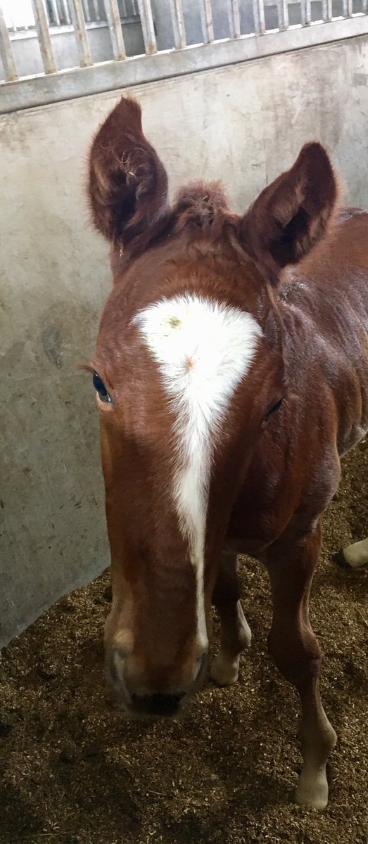 Contract Racing tweet media