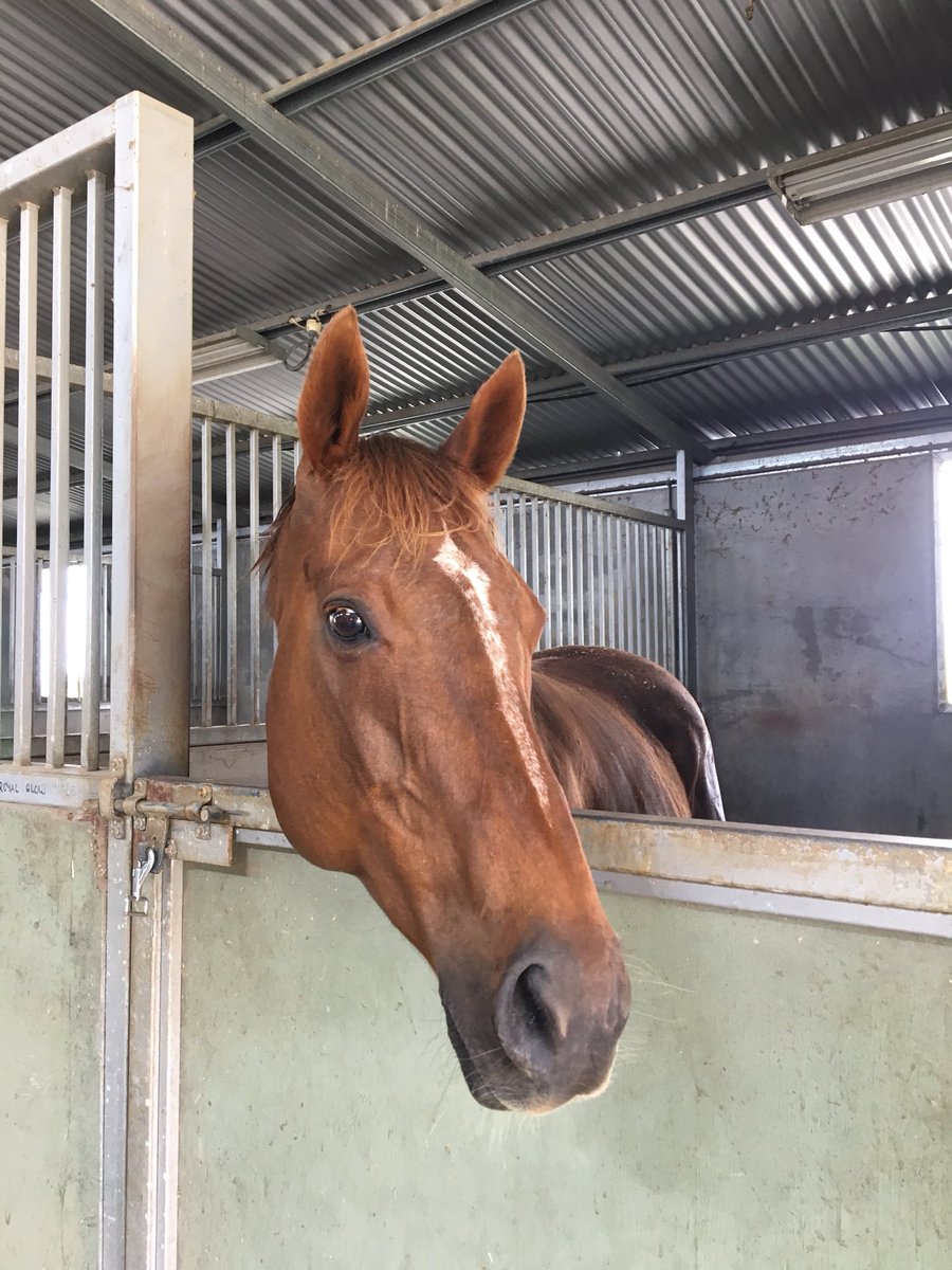 Contract Racing tweet media