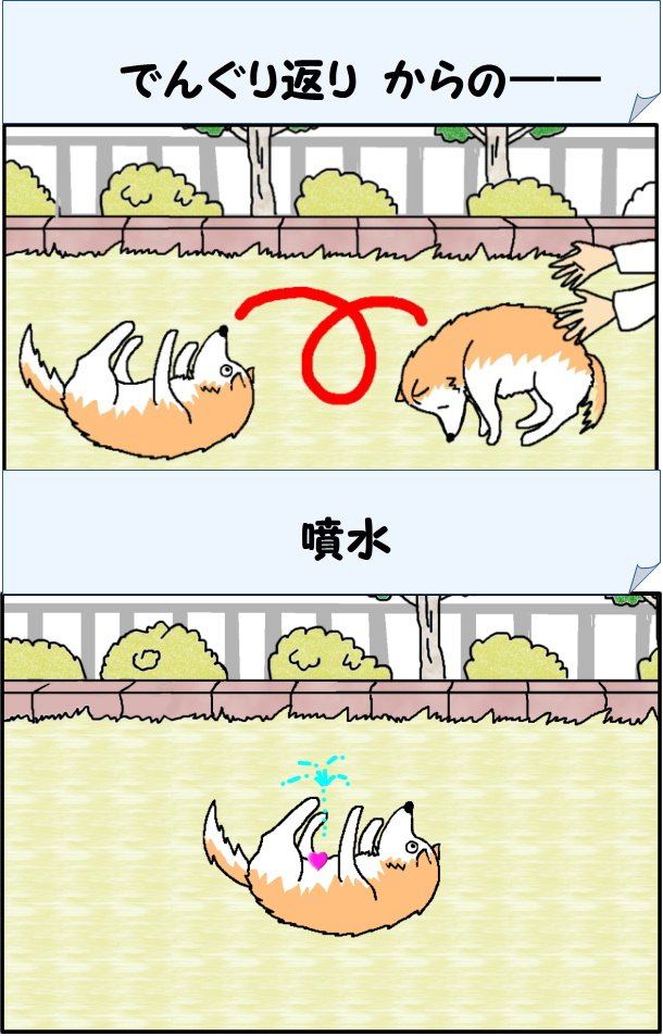 murata3453's tweet photo. 今週のハイライト
#秘密結社老犬倶楽部
１週間、無事に過ごせただけで十分。 https://t.co/tGx57VXMb5