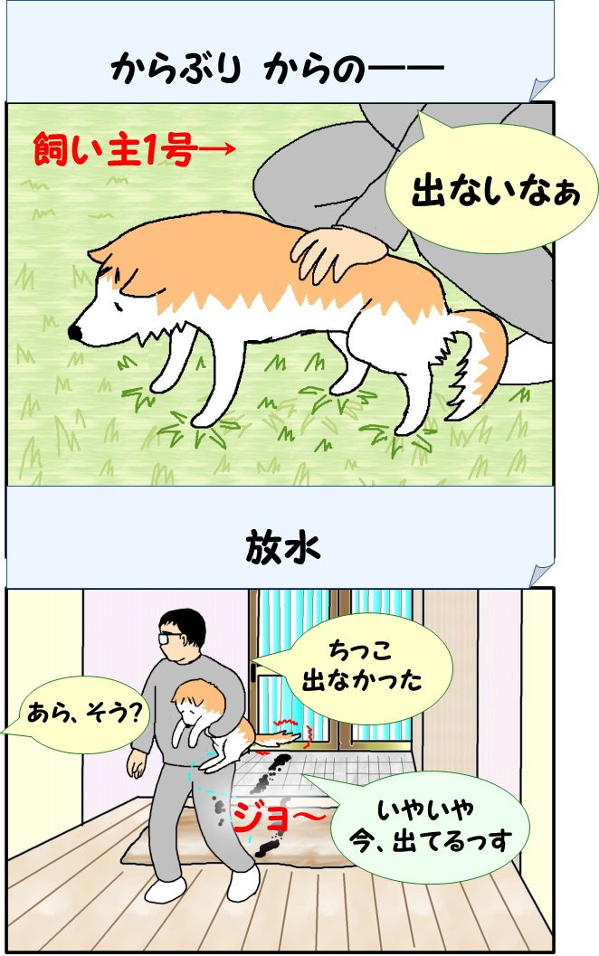 murata3453's tweet photo. 今週のハイライト
#秘密結社老犬倶楽部
１週間、無事に過ごせただけで十分。 https://t.co/tGx57VXMb5