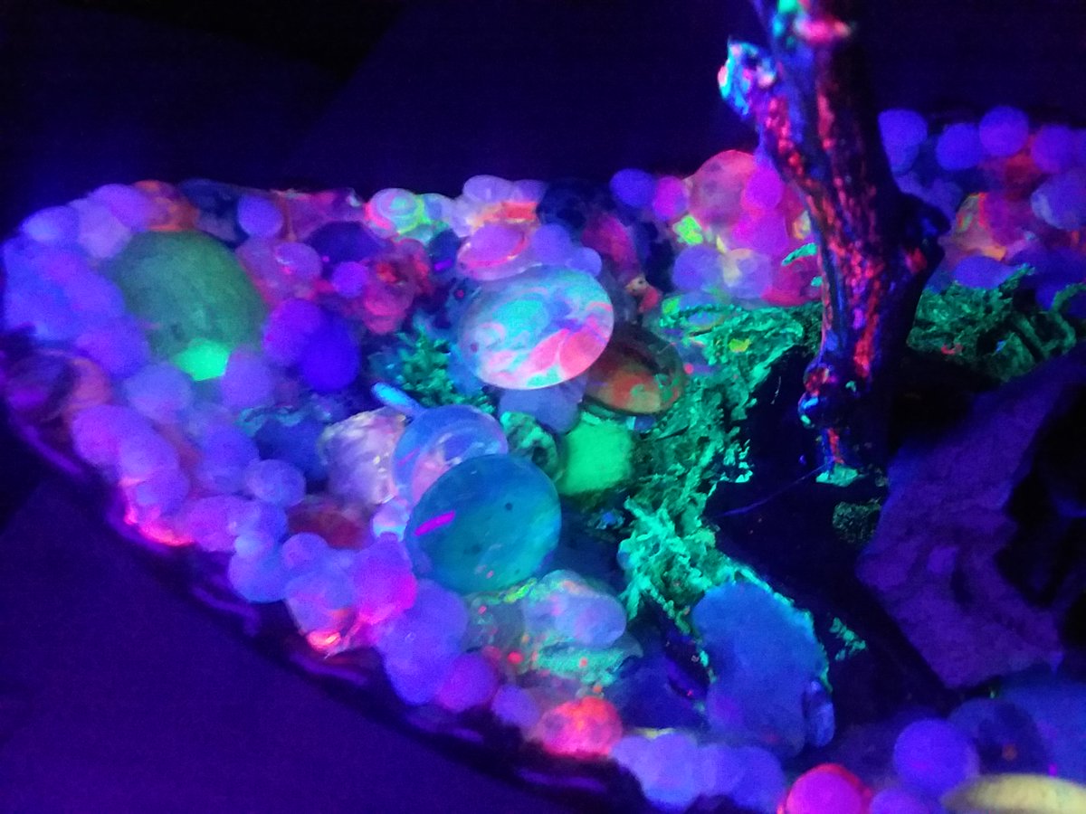 DreambakeStudio's tweet photo. #Follow -> #DreambakeStudio  #Win #Giveaways will Start @1000 Follows  #Miniatures Handmade #Jewelry Charms memory boxes #ChristmasOrnaments🎅 Stickers OOAK ART.. Follow &amp; Tweet #Dreambake to B included 1st giveaway 🔊 RT #Vira

⬇️ Latest Creation Blacklight Glow in Dark Tree https://t.co/SQzaPUIHFg
