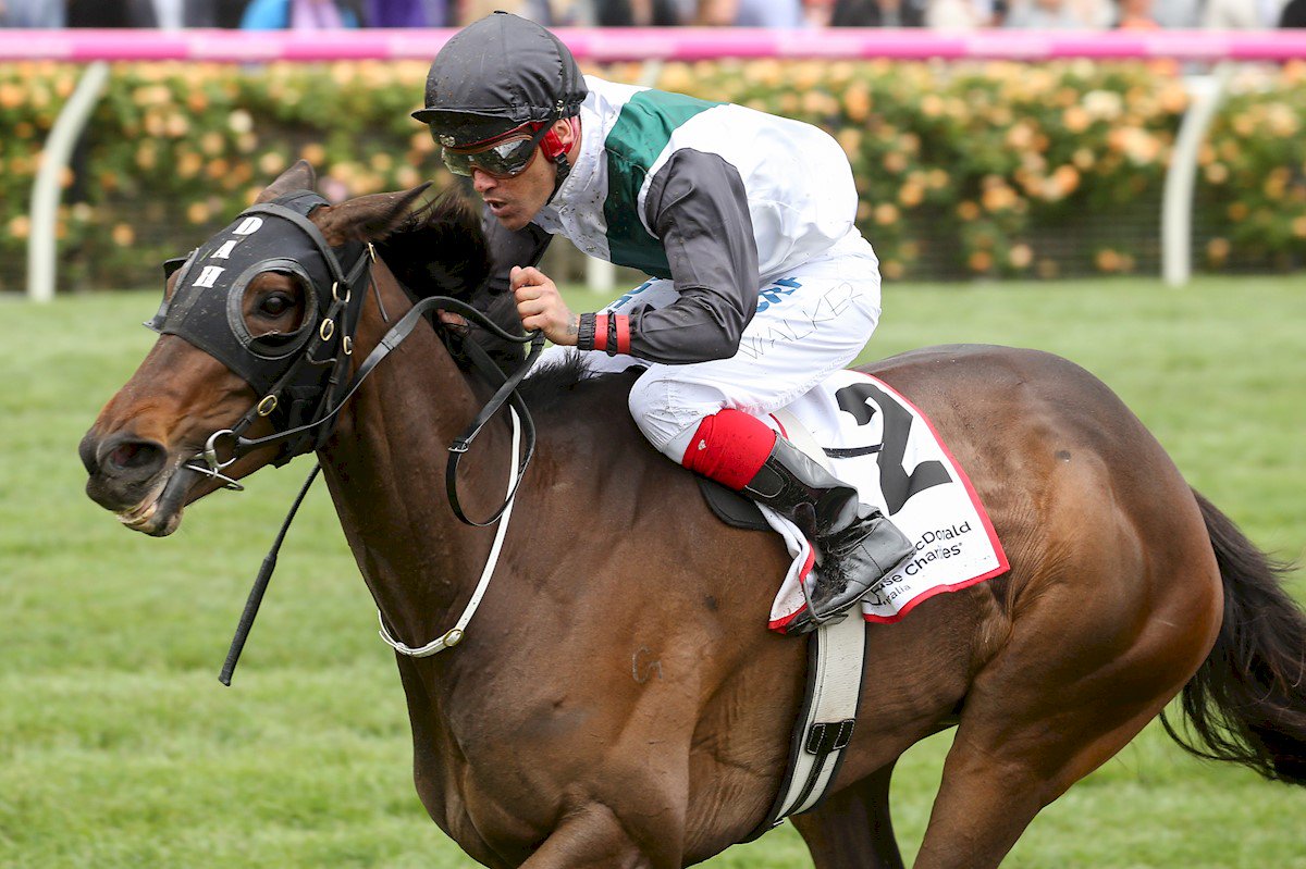 tabcomau's tweet photo. Fanatic brings his form from Melbourne Cup day to win a hotly contested #Sandwon Cup for @lindsayparkrace
📸: Racing Photos https://t.co/VMz2Y03zQ7