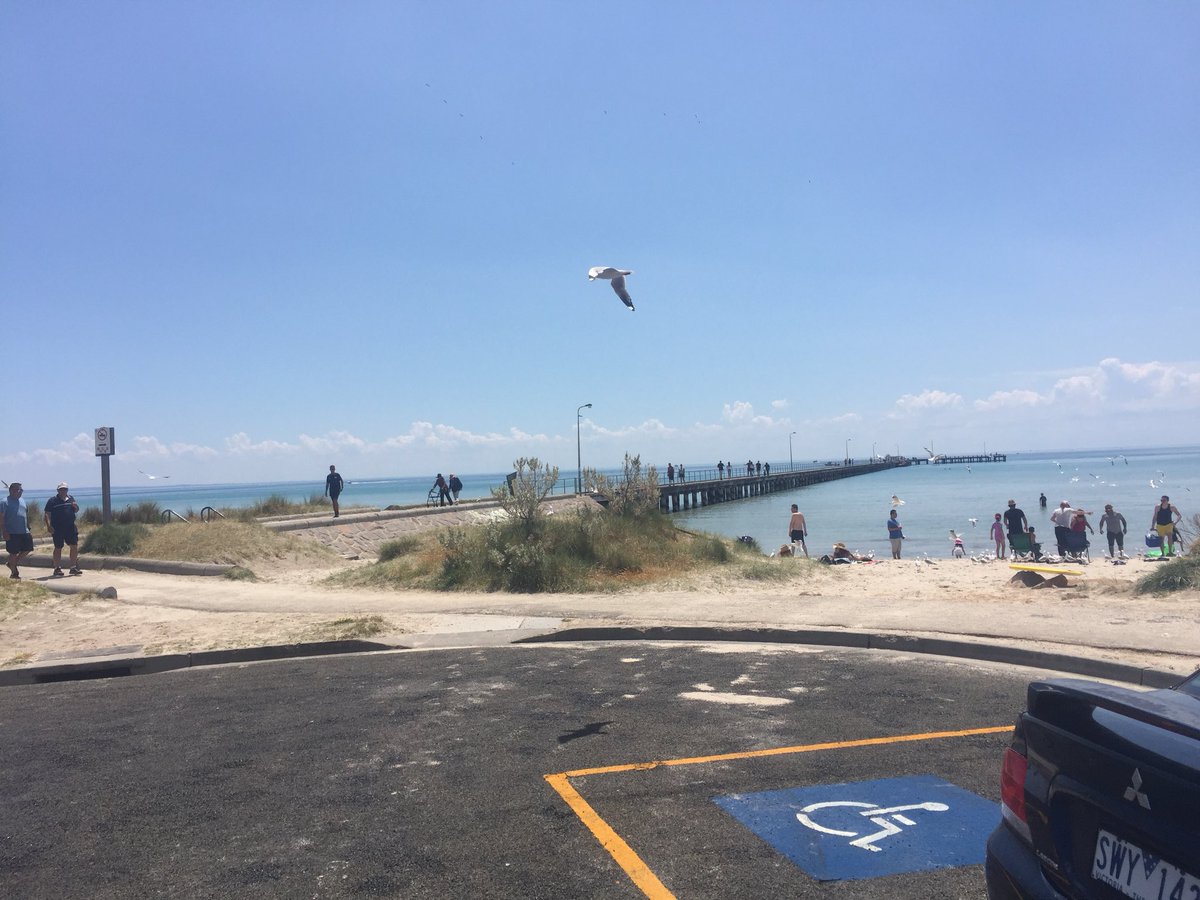 Kate_Biscuit's tweet photo. What a fabulous day to count fish! Three huge black rays, two seahorses, and a very playful large octopus at Rye pier! #fishcount #greatvictorianfishcount https://t.co/Yq5OCg0Ijh