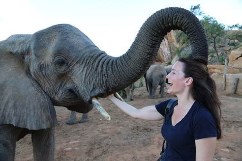 KristinDavis's tweet image. To everyone who stood up for #elephants THANK YOU!!!!!!! Amazing news- @TheEllenShow so much gratitude! #BeKindToElephant 💚🐘💚@DSWT