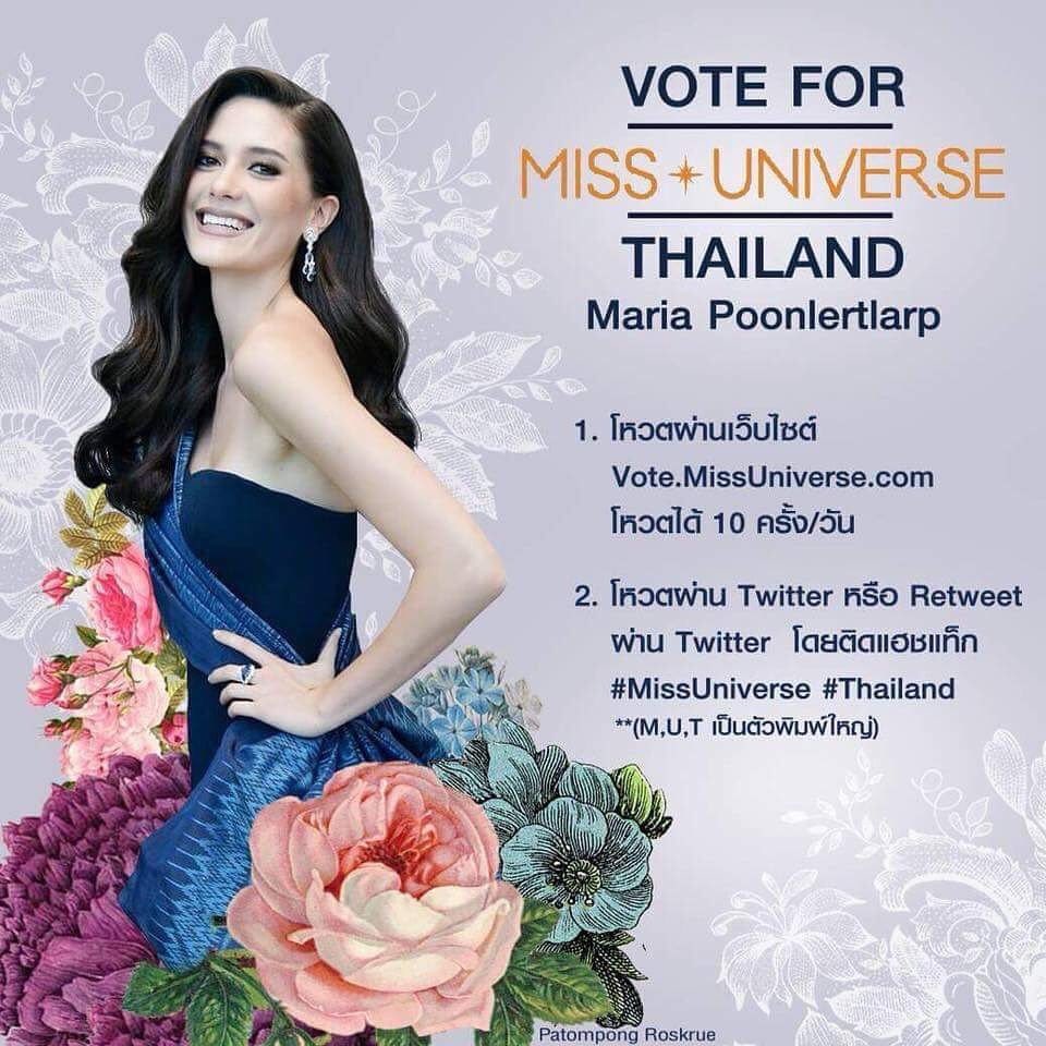 Pheung อายนบุตร 🦁 tweet media