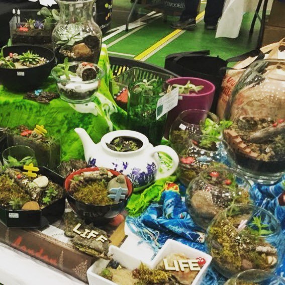 Come and see Black Thumb Creations at Shopping for the Season tomorrow. You're going to flip for these succulent terrariums! 🎍🌱🌵 2310 Louise Ave, YXE 10 am - 4 pm ift.tt/2zOOPnx