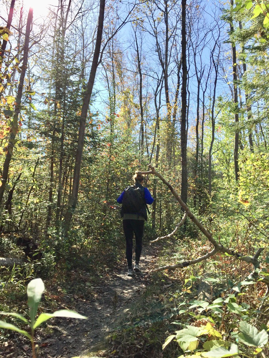 radiomel's tweet photo. Thanks @OntarioParks for the reminder about #TakeaHikeDay Great memories of solo camping week and hiking @MacGregorPoint a couple of weeks ago! https://t.co/6QXcGVjOKZ