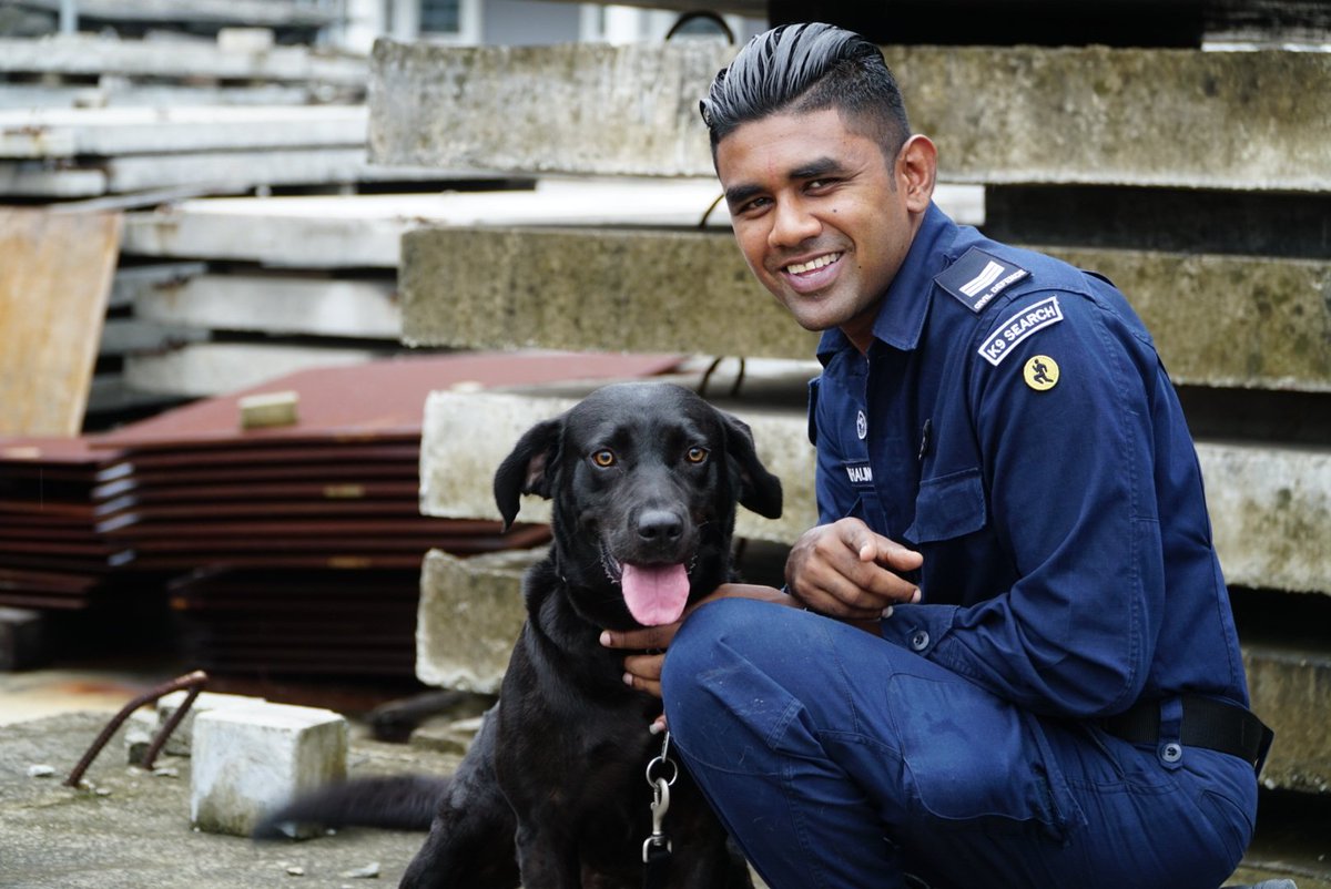 nutro natural choice lamb and rice