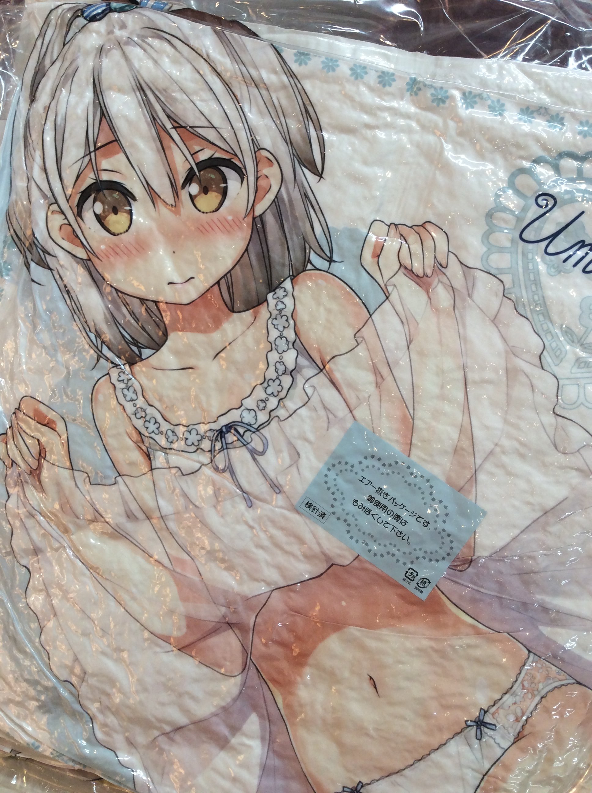 軸中心派 秋葉原本店 新商品紹介 カントク先生 クッション 渚とうみねこ カントク先生の渚ちゃん うみねこちゃんver はセクシーなランジェリーイラスト 表面は 渚ちゃんのスリーインワン姿イラスト 裏面は うみねこちゃんのベビー